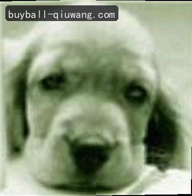 周杰